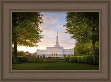 Load image into Gallery viewer, Nashville Trees
