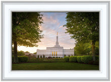 Load image into Gallery viewer, Nashville Trees
