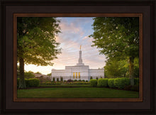 Load image into Gallery viewer, Nashville Trees
