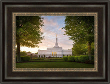 Load image into Gallery viewer, Nashville Trees
