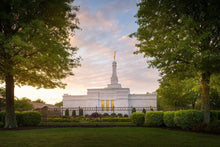 Load image into Gallery viewer, Nashville Trees
