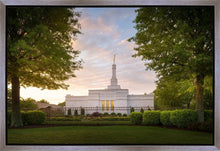 Load image into Gallery viewer, Nashville Trees
