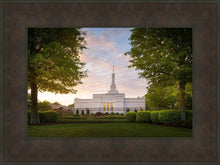 Load image into Gallery viewer, Nashville Trees
