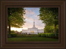 Load image into Gallery viewer, Nashville Trees
