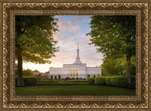 Load image into Gallery viewer, Nashville Trees
