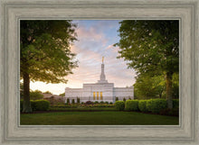 Load image into Gallery viewer, Nashville Trees

