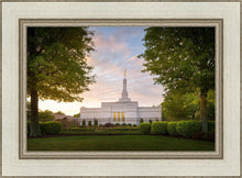 Load image into Gallery viewer, Nashville Trees
