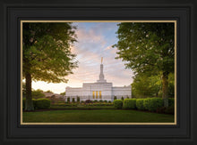 Load image into Gallery viewer, Nashville Trees
