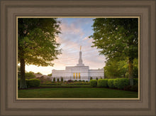Load image into Gallery viewer, Nashville Trees
