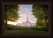 Load image into Gallery viewer, Nashville Trees
