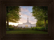 Load image into Gallery viewer, Nashville Trees
