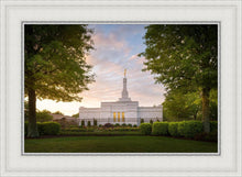Load image into Gallery viewer, Nashville Trees
