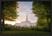 Load image into Gallery viewer, Nashville Trees

