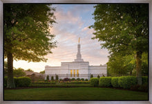 Load image into Gallery viewer, Nashville Trees
