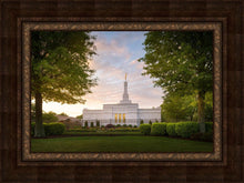 Load image into Gallery viewer, Nashville Trees
