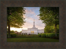 Load image into Gallery viewer, Nashville Trees
