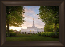 Load image into Gallery viewer, Nashville Trees
