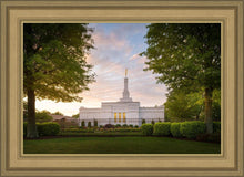 Load image into Gallery viewer, Nashville Trees
