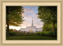 Load image into Gallery viewer, Nashville Trees
