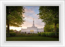 Load image into Gallery viewer, Nashville Trees
