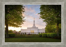Load image into Gallery viewer, Nashville Trees
