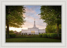 Load image into Gallery viewer, Nashville Trees
