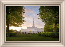 Load image into Gallery viewer, Nashville Trees
