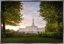 Load image into Gallery viewer, Nashville Trees
