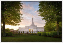Load image into Gallery viewer, Nashville Trees
