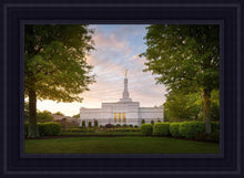 Load image into Gallery viewer, Nashville Trees
