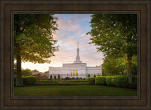 Load image into Gallery viewer, Nashville Trees
