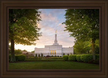 Load image into Gallery viewer, Nashville Trees

