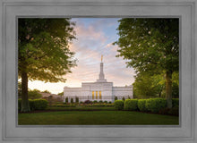 Load image into Gallery viewer, Nashville Trees
