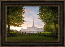 Load image into Gallery viewer, Nashville Trees
