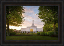 Load image into Gallery viewer, Nashville Trees
