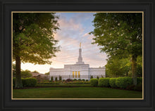 Load image into Gallery viewer, Nashville Trees
