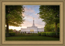 Load image into Gallery viewer, Nashville Trees
