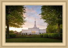 Load image into Gallery viewer, Nashville Trees
