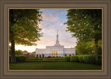 Load image into Gallery viewer, Nashville Trees
