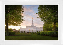 Load image into Gallery viewer, Nashville Trees
