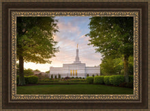 Load image into Gallery viewer, Nashville Trees
