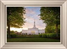 Load image into Gallery viewer, Nashville Trees
