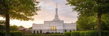 Load image into Gallery viewer, Nashville Trees
