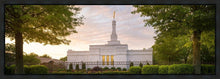 Load image into Gallery viewer, Nashville Trees
