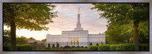 Load image into Gallery viewer, Nashville Trees
