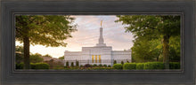 Load image into Gallery viewer, Nashville Trees
