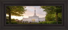 Load image into Gallery viewer, Nashville Trees
