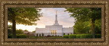 Load image into Gallery viewer, Nashville Trees
