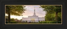 Load image into Gallery viewer, Nashville Trees
