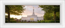 Load image into Gallery viewer, Nashville Trees
